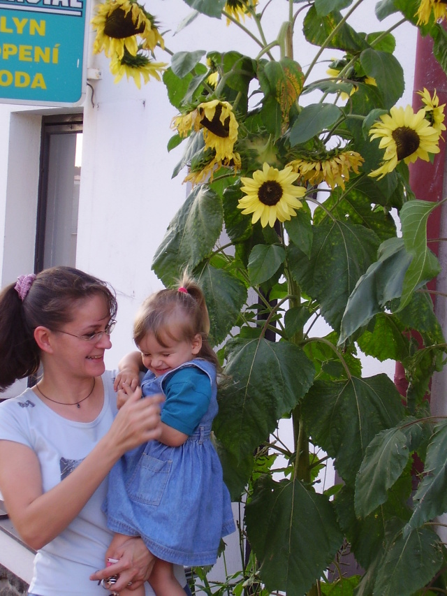 31.8.2005 procházka Klatovy 093.jpg